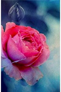 Bullet Journal Rose in Bloom