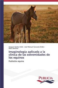 Imaginología aplicada a la clínica de las extremidades de los equinos