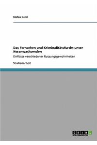 Fernsehen und Kriminalitätsfurcht unter Heranwachsenden