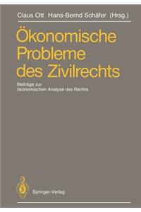 Ökonomische Probleme des Zivilrechts