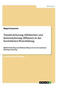 Transfersicherung (Effektivität) und Kostensicherung (Effizienz) in der betrieblichen Weiterbildung