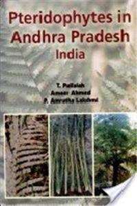 Pteridophytes In Andhra Pradesh India