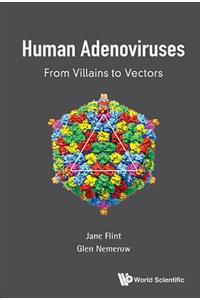Human Adenoviruses: From Villains to Vectors