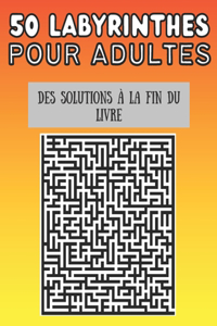 50 labyrinthes pour adultes