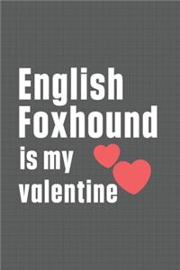 English Foxhound is my valentine