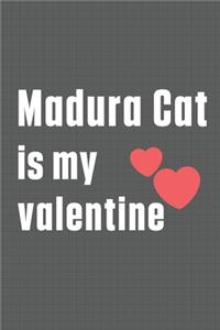 Madura Cat is my valentine