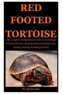 Red footed Tortoise