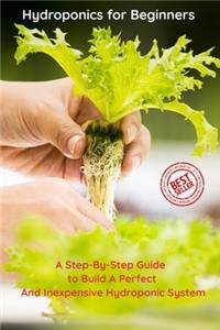 Hydroponics for Beginners