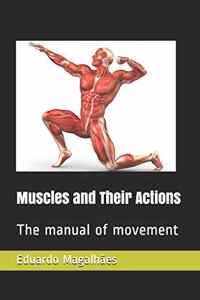 Muscles and Their Actions