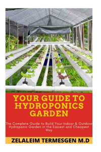 Your Guide to Hydroponics Garden