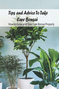 Tips and Advice To Take Care Bonsai