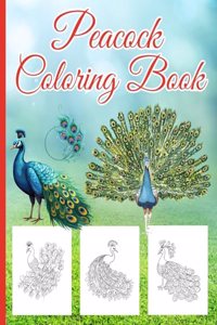 Peacock Coloring Book