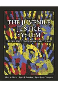 The Juvenile Justice System