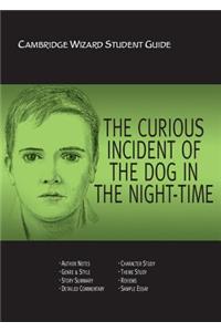 The Curious Incident of the Dog in the Night Time