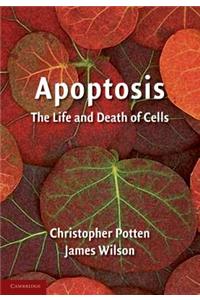 Apoptosis