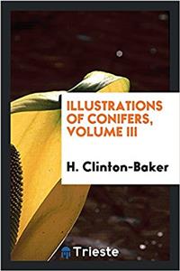 Illustrations of conifers, Volume III