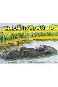 Bebé Hipopótamo (Baby Hippo)