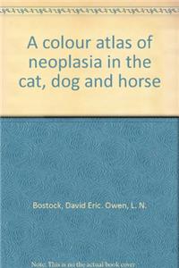 Neoplasia In The Cat, Dog And Horse