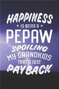 Happiness Is Being A Pepaw Spoiling My Grandkids That's Just Payback
