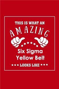 This is What an Amazing Six Sigma Yellow Belt Look Like