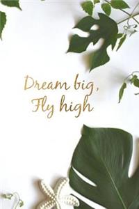 Dream Big, Fly High