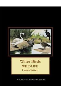 Water Birds