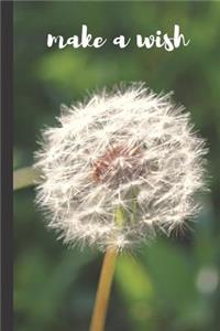 Make a Wish