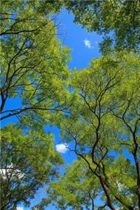 Nature notebook - best notebook with quotes, perfect 120 lined pages #2