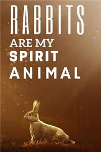 Rabbit Notebook