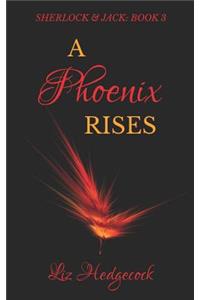 Phoenix Rises