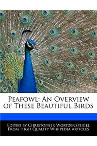 Peafowl