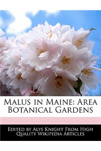 Malus in Maine
