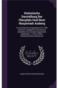 Statistische Darstellung Der Oberpfalz Und Ihrer Hauptstadt Amberg