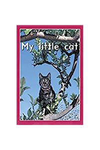 My Little Cat