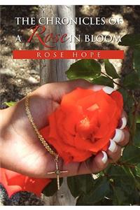 The Chronicles of a Rose in Bloom