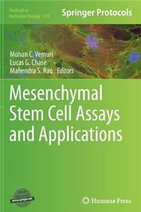 Mesenchymal Stem Cell Assays and Applications