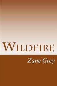 Wildfire
