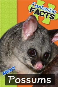 Fantastic Facts about Possums: Illustrated Fun Learning for Kids: Illustrated Fun Learning for Kids