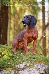 Bavarian Mountain Hound January Notebook Bavarian Mountain Hound Record, Log, Diary, Special Memories, To Do List, Academic Notepad, Scrapbook & More