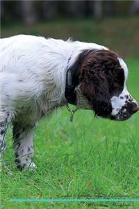 English Springer Spaniel Affirmations Workbook English Springer Spaniel Presents: Positive and Loving Affirmations Workbook. Includes: Mentoring Questions, Guidance, Supporting You.