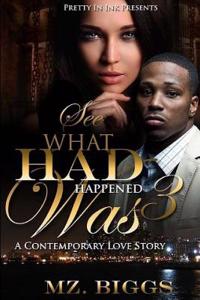 See What Had Happened Was 3: A Contemporary Love Story