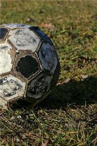 Soccer Ball in the Grass Sports Journal