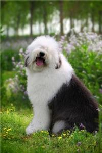 Happy Old English Sheepdog Dog Journal