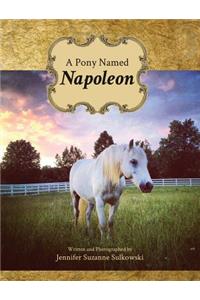 A Pony Named Napoleon