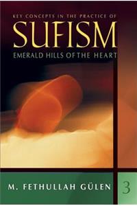 Key Concepts in the Practice of Sufism