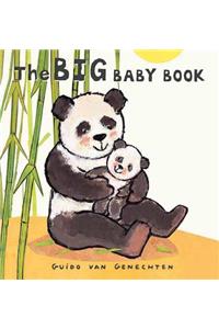 The Big Baby Book