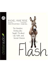 Flash
