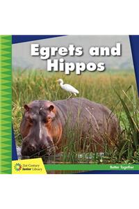 Egrets and Hippos