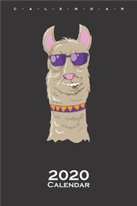Cool llama Calendar 2020