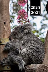 Koala Bear Rainforest Week Planner Weekly Organizer Calendar 2020 / 2021 - Family Sleep